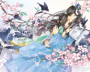 免费100款禁用流氓软件入口